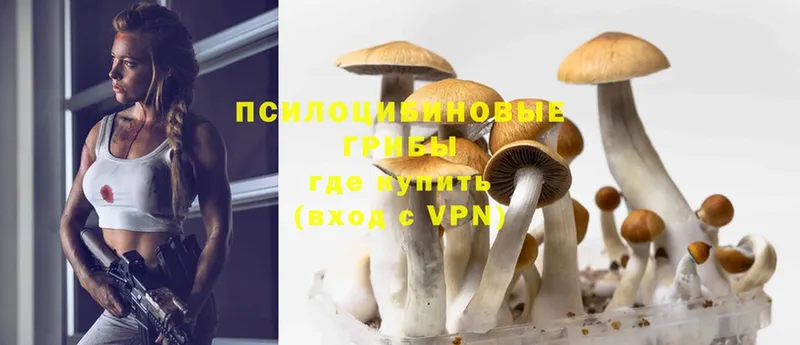 Галлюциногенные грибы Magic Shrooms  где купить наркоту  blacksprut как зайти  Дзержинский 